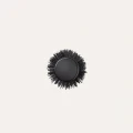 max-pro-ceramic-blow-dry-styling-brush-25mm-746783_800x.webp